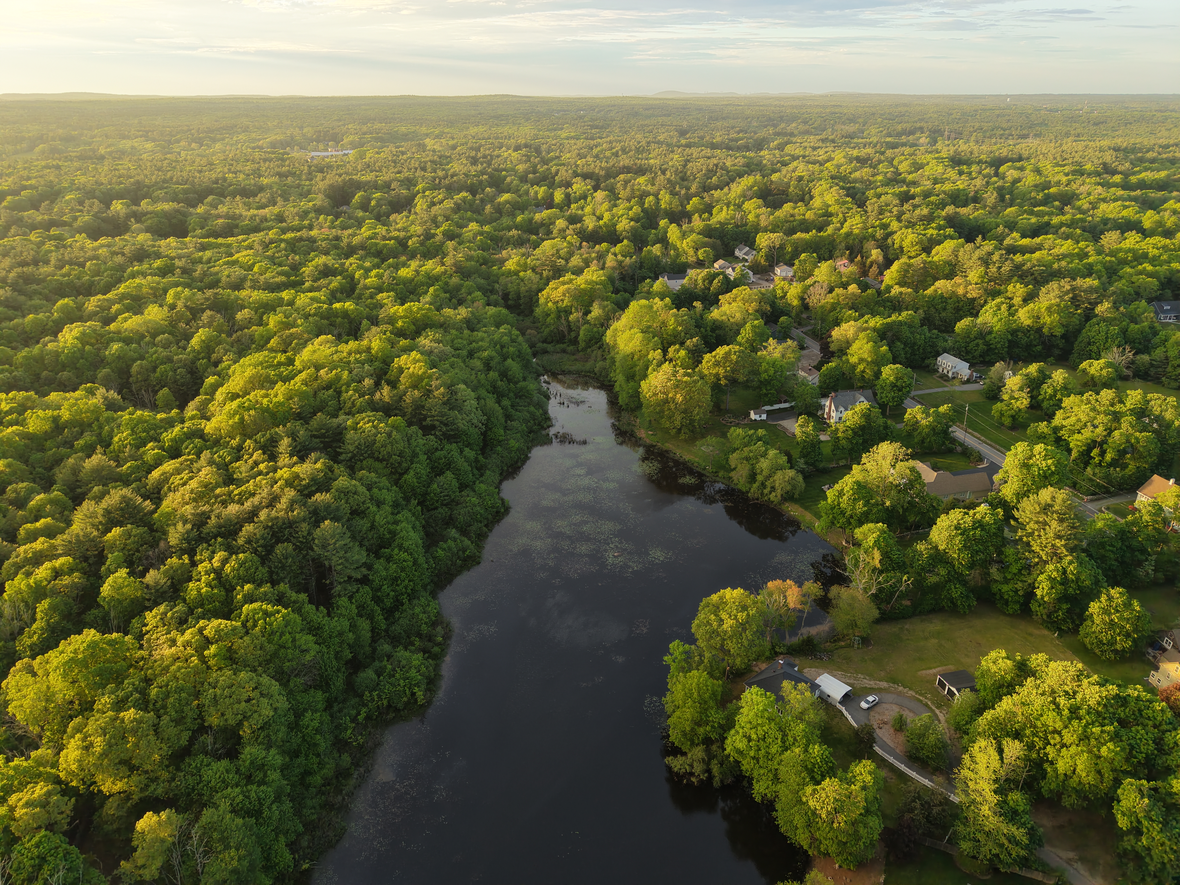 Aerial view of Old Pond at golden hour, the pond stretching through the trees with warm evening light